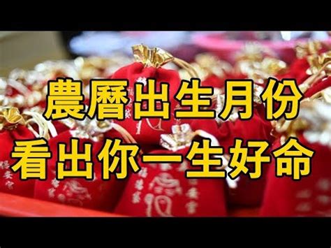 免費出生年月日配對|生辰八字免費測算